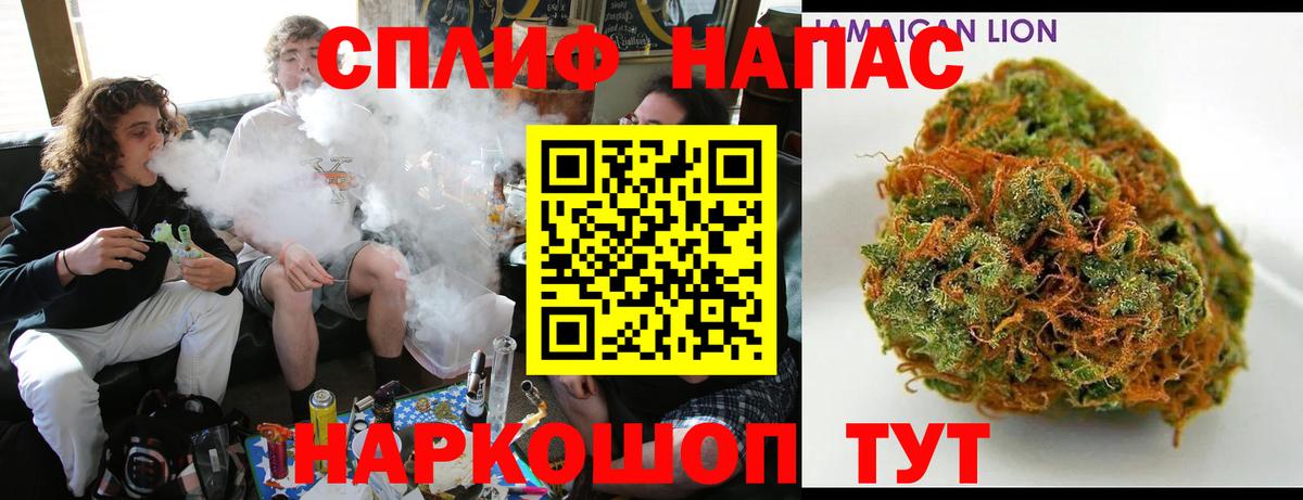 Бошки марихуана OG Kush Ессентуки